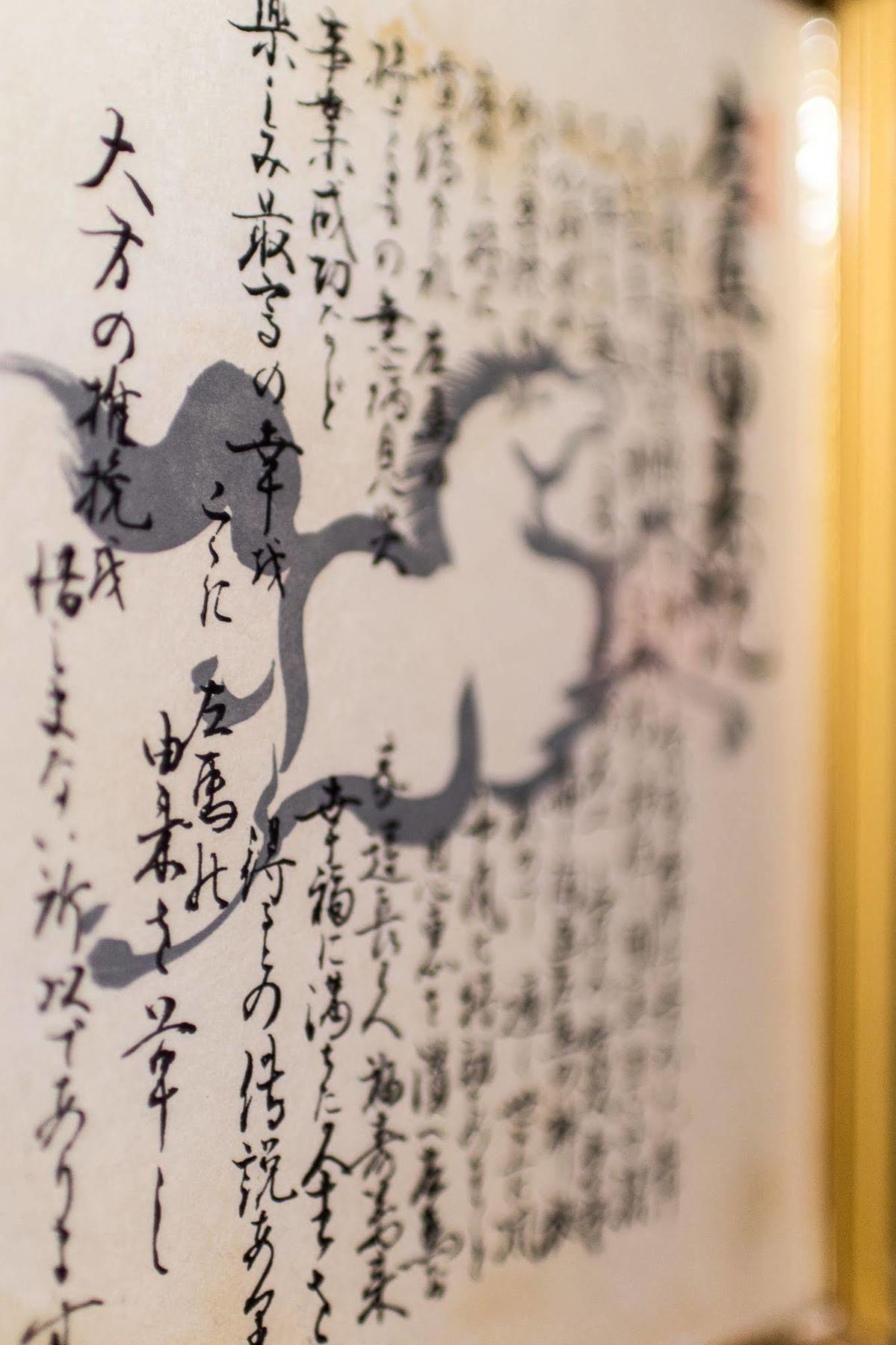 二世古猫头鹰叫声旅舍别墅 外观 照片